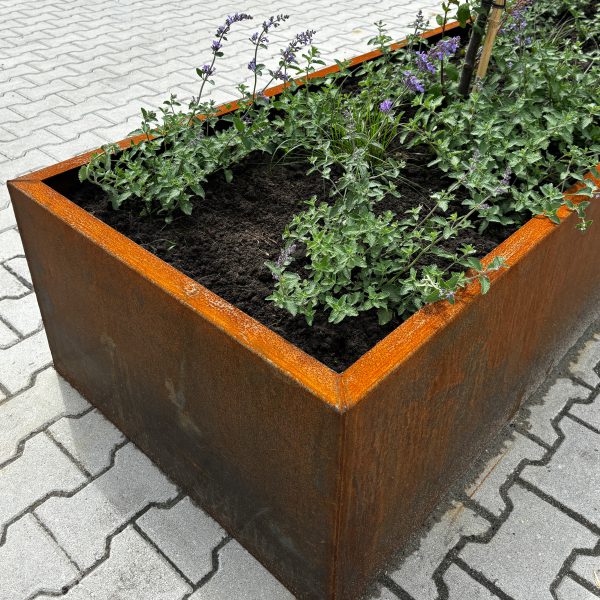 Rechthoek Cortenstaal Plantenbak Sfeerfoto