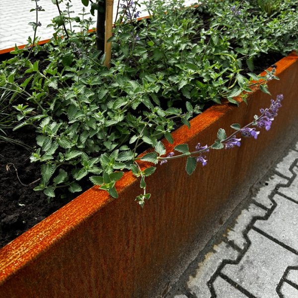 Plantenbak Cortenstaal – Met Bodem - Vanaf 3 meter - Op Maat - Afbeelding 2