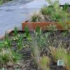 Plantenbak Cortenstaal Zonder Bodem 300 cm + - Afbeelding 2